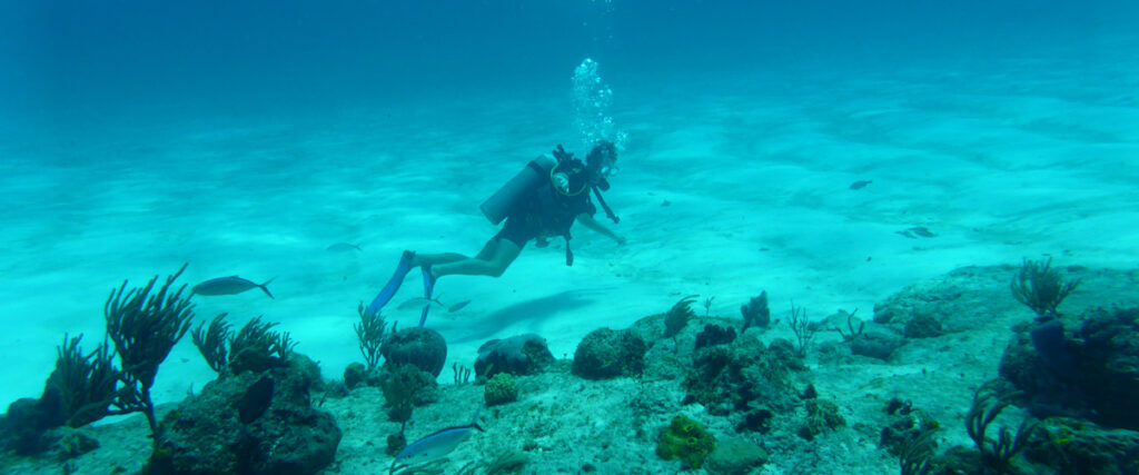 Een duiker verkent de prachtige onderwaterwereld van Bonaire