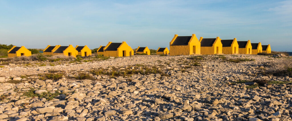 Gele slavenhuisjes van Bonaire