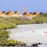 Slavenhuisjes Bonaire met op de voorgrond de salinas met flamingo's