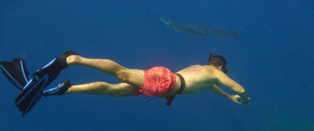 Snorkelen in Bonaire