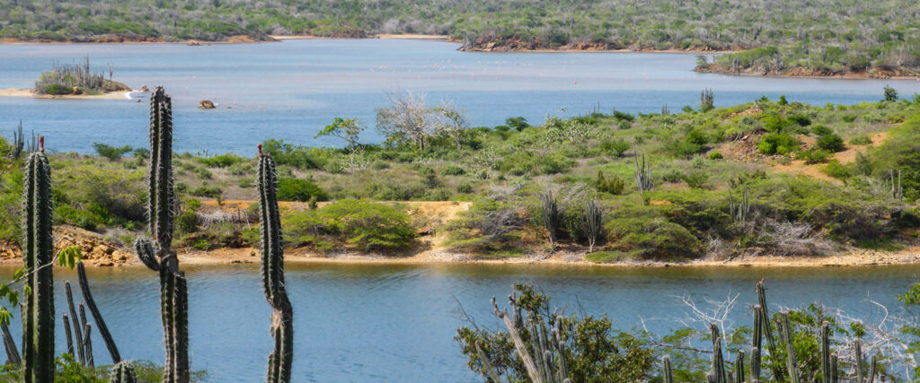 Uitzicht over Goto Meer op Bonaire