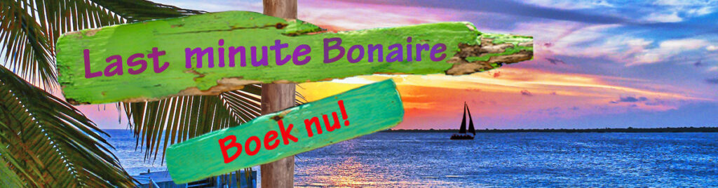 Last minute Bonaire
