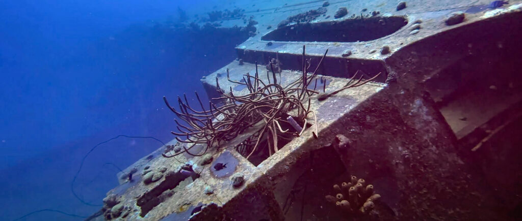 Helma Hooker Bonaire