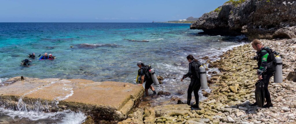 Karpata Bonaire