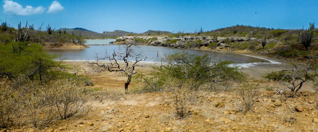 Ruig landschap Bonaire