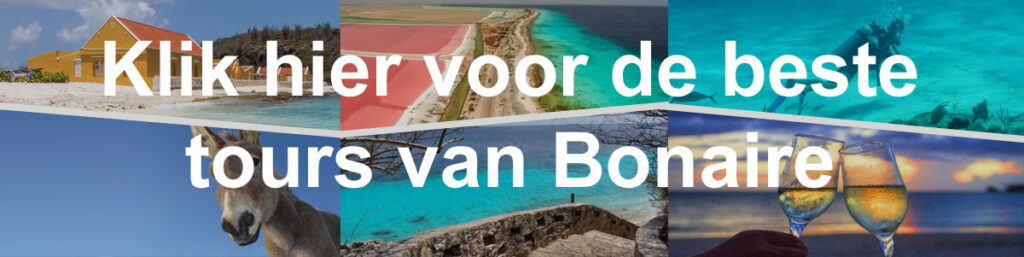 Boek de beste tours van Bonaire