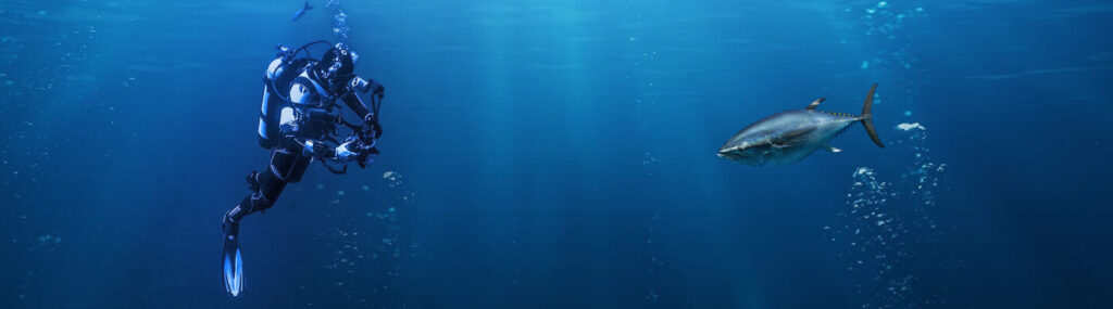 Beste onderwatercamera