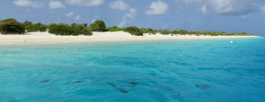 Klein Bonaire paradijs