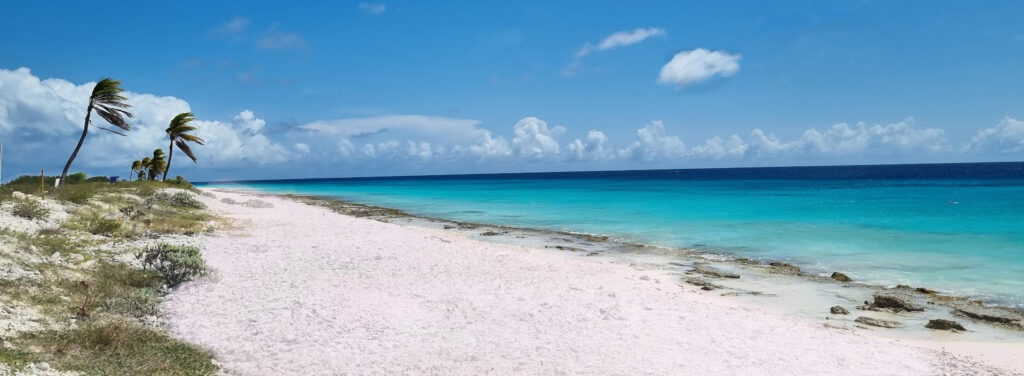 Pink Beach Bonaire