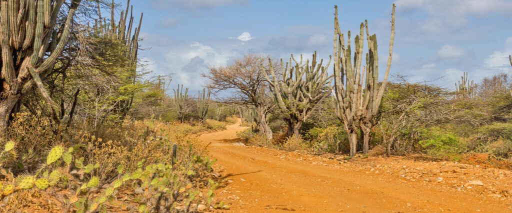 WSNP tour Bonaire
